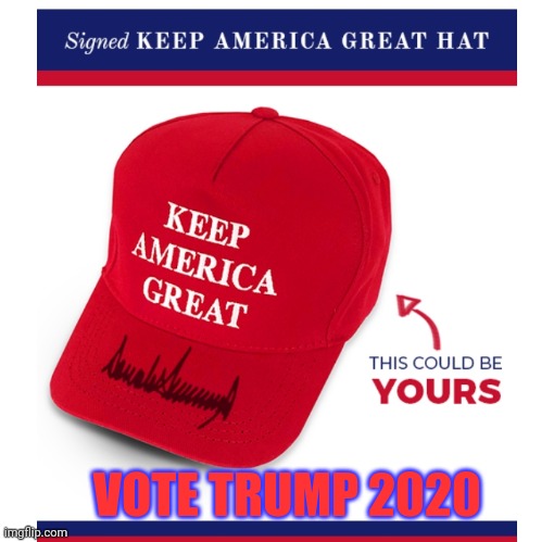 VOTE TRUMP 2020 | made w/ Imgflip meme maker