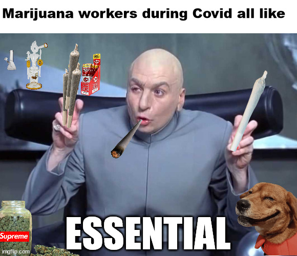 Dr Evil air quotes |  Marijuana workers during Covid all like; ESSENTIAL | image tagged in dr evil air quotes | made w/ Imgflip meme maker