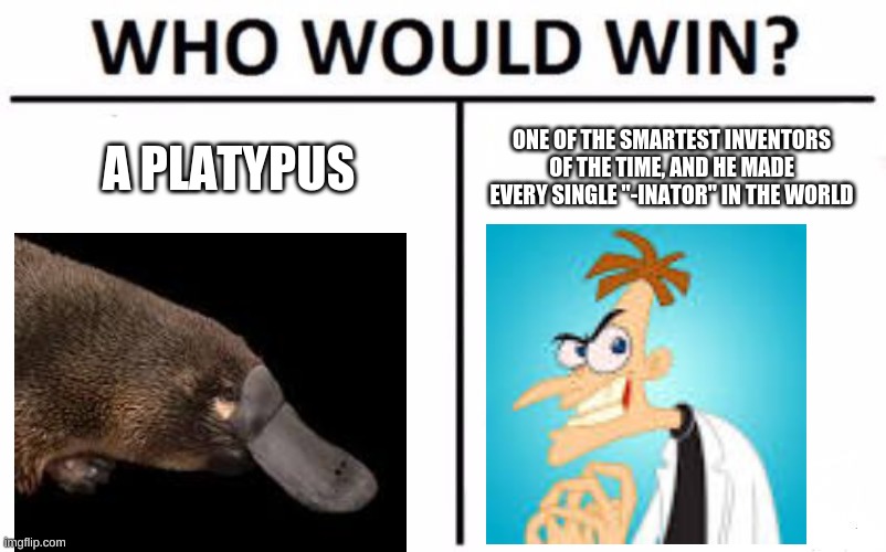 Who Would Win? | A PLATYPUS; ONE OF THE SMARTEST INVENTORS OF THE TIME, AND HE MADE EVERY SINGLE "-INATOR" IN THE WORLD | image tagged in memes,who would win | made w/ Imgflip meme maker