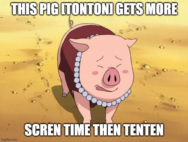 Tonton Naruto | THIS PIG [TONTON] GETS MORE; SCREN TIME THEN TENTEN | image tagged in tonton naruto | made w/ Imgflip meme maker