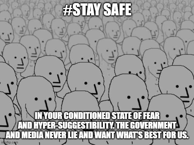 Npc crowd | #STAY SAFE; IN YOUR CONDITIONED STATE OF FEAR AND HYPER-SUGGESTIBILITY. THE GOVERNMENT AND MEDIA NEVER LIE AND WANT WHAT'S BEST FOR US. | image tagged in npc crowd | made w/ Imgflip meme maker