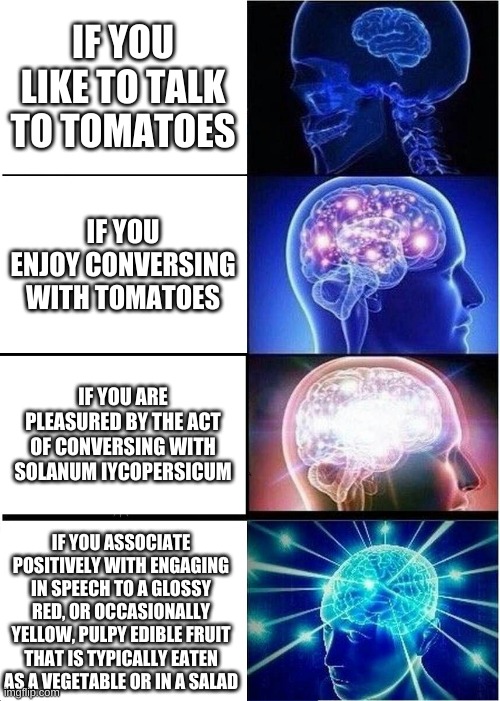 If you like to talk to tomatoes | IF YOU LIKE TO TALK TO TOMATOES; IF YOU ENJOY CONVERSING WITH TOMATOES; IF YOU ARE PLEASURED BY THE ACT OF CONVERSING WITH SOLANUM IYCOPERSICUM; IF YOU ASSOCIATE POSITIVELY WITH ENGAGING IN SPEECH TO A GLOSSY RED, OR OCCASIONALLY YELLOW, PULPY EDIBLE FRUIT THAT IS TYPICALLY EATEN AS A VEGETABLE OR IN A SALAD | image tagged in memes,expanding brain,veggietales,funny,smart | made w/ Imgflip meme maker