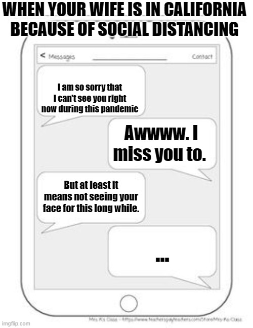 Text messages | WHEN YOUR WIFE IS IN CALIFORNIA BECAUSE OF SOCIAL DISTANCING; I am so sorry that I can't see you right now during this pandemic; Awwww. I miss you to. But at least it means not seeing your face for this long while. ... | image tagged in text messages | made w/ Imgflip meme maker