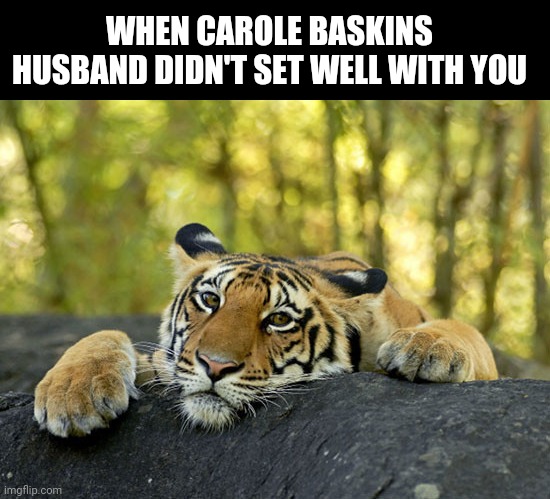 Sad Tiger | WHEN CAROLE BASKINS HUSBAND DIDN'T SET WELL WITH YOU | image tagged in sad tiger | made w/ Imgflip meme maker
