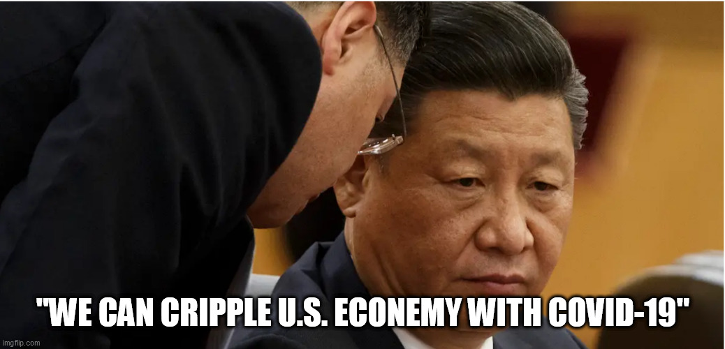 Chinese President Xi Jinping | "WE CAN CRIPPLE U.S. ECONEMY WITH COVID-19" | image tagged in chinese president xi jinping | made w/ Imgflip meme maker