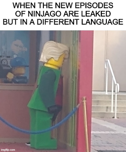 WHEN THE NEW EPISODES OF NINJAGO ARE LEAKED BUT IN A DIFFERENT LANGUAGE | image tagged in blank white template,sad lloyd | made w/ Imgflip meme maker