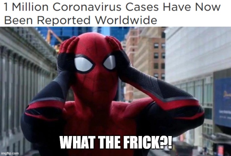 WHAT THE FRICK?! | image tagged in freaked out spider-man | made w/ Imgflip meme maker