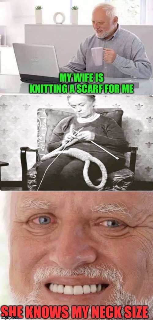Keep your chin up Harold. | image tagged in hide the pain harold,knitting,noose,memes,funny | made w/ Imgflip meme maker