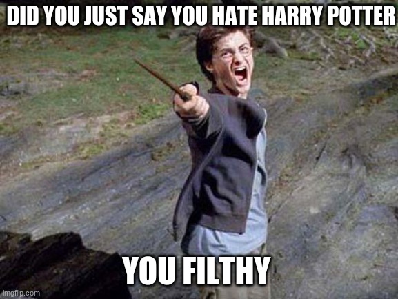Harry Potter Yelling | DID YOU JUST SAY YOU HATE HARRY POTTER; YOU FILTHY | image tagged in harry potter yelling | made w/ Imgflip meme maker