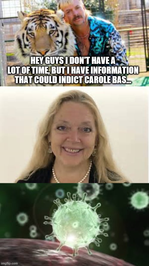 Carole is taking over | HEY GUYS I DON'T HAVE A LOT OF TIME, BUT I HAVE INFORMATION THAT COULD INDICT CAROLE BAS... | image tagged in tiger king | made w/ Imgflip meme maker