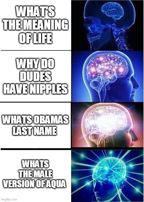 the meaningful questions to ask | WHAT'S THE MEANING OF LIFE; WHY DO DUDES HAVE NIPPLES; WHATS OBAMAS LAST NAME; WHATS THE MALE VERSION OF AQUA | image tagged in memes,expanding brain | made w/ Imgflip meme maker