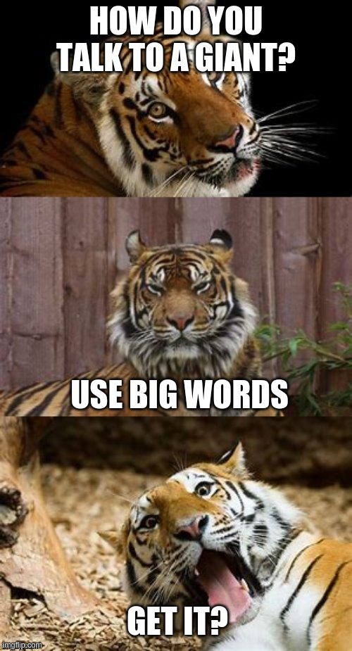 Bad Pun Tiger | HOW DO YOU TALK TO A GIANT? USE BIG WORDS; GET IT? | image tagged in bad pun tiger | made w/ Imgflip meme maker