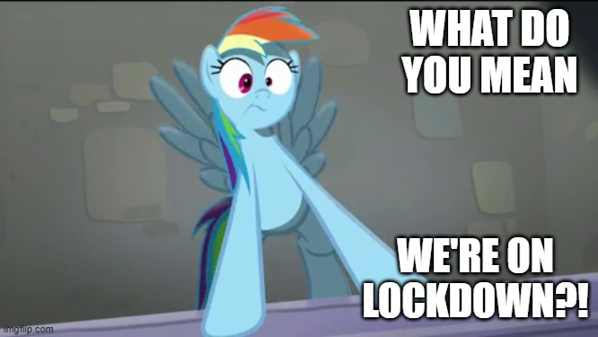 Ponyville Lockdown | WHAT DO YOU MEAN; WE'RE ON LOCKDOWN?! | image tagged in my little pony friendship is magic | made w/ Imgflip meme maker