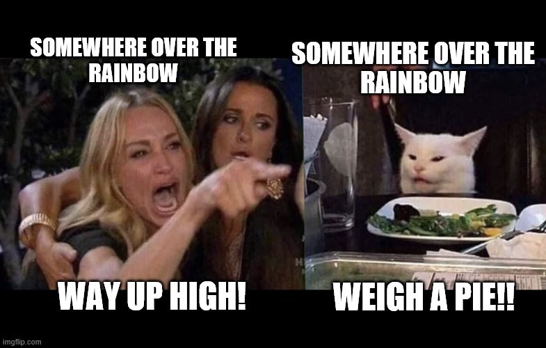 woman yelling at cat | SOMEWHERE OVER THE 
RAINBOW; SOMEWHERE OVER THE 
RAINBOW; WEIGH A PIE!! WAY UP HIGH! | image tagged in woman yelling at cat | made w/ Imgflip meme maker