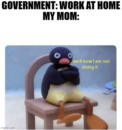 well now I am not doing it | GOVERNMENT: WORK AT HOME
MY MOM: | image tagged in well now i am not doing it | made w/ Imgflip meme maker