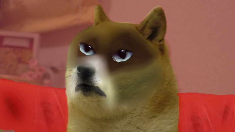 Grumpy Doge Blank Meme Template