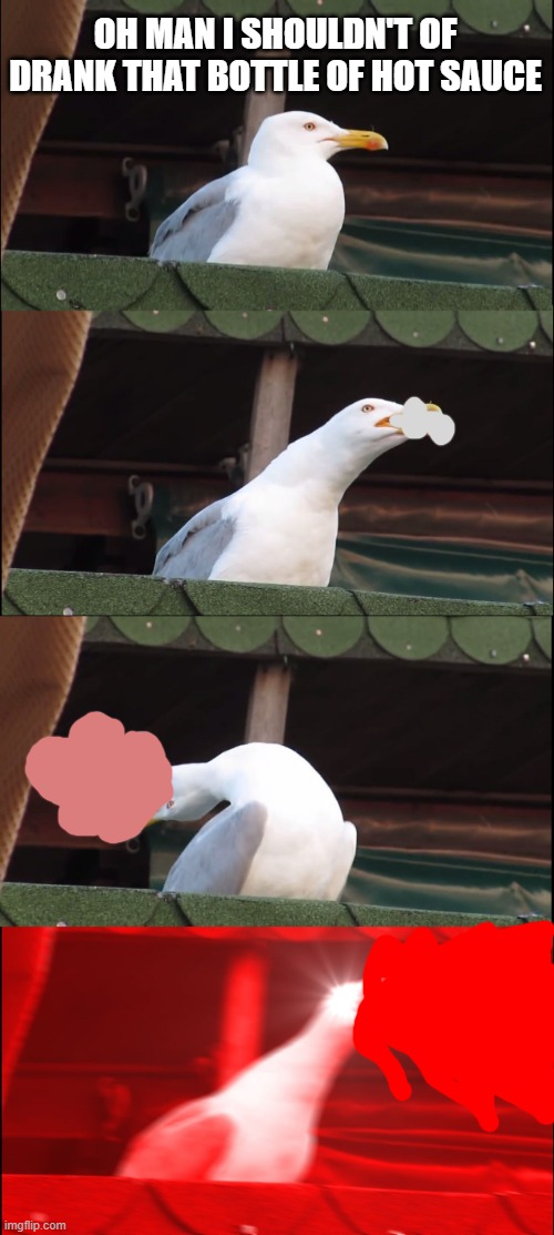 Inhaling Seagull Meme | OH MAN I SHOULDN'T OF DRANK THAT BOTTLE OF HOT SAUCE | image tagged in memes,inhaling seagull | made w/ Imgflip meme maker