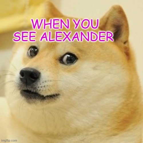 Doge Meme | WHEN YOU SEE ALEXANDER | image tagged in memes,doge | made w/ Imgflip meme maker