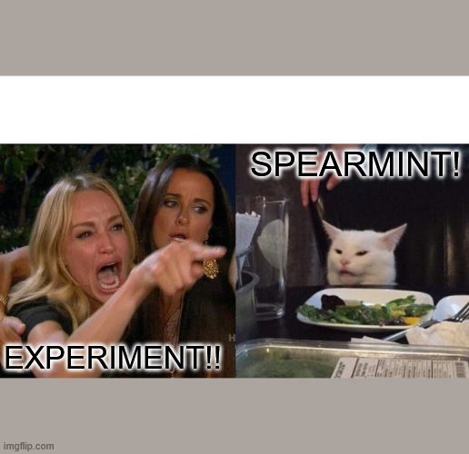 Woman Yelling At Cat | SPEARMINT! EXPERIMENT!! | image tagged in memes,woman yelling at cat | made w/ Imgflip meme maker