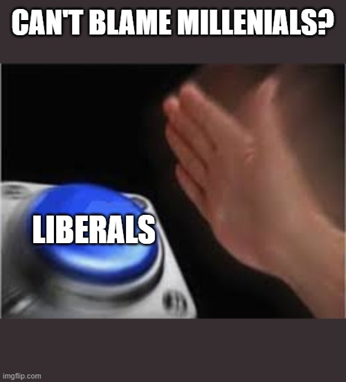 Press button | CAN'T BLAME MILLENIALS? LIBERALS | image tagged in press button | made w/ Imgflip meme maker