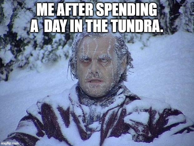 Jack Nicholson The Shining Snow Meme | ME AFTER SPENDING A  DAY IN THE TUNDRA. | image tagged in memes,jack nicholson the shining snow | made w/ Imgflip meme maker