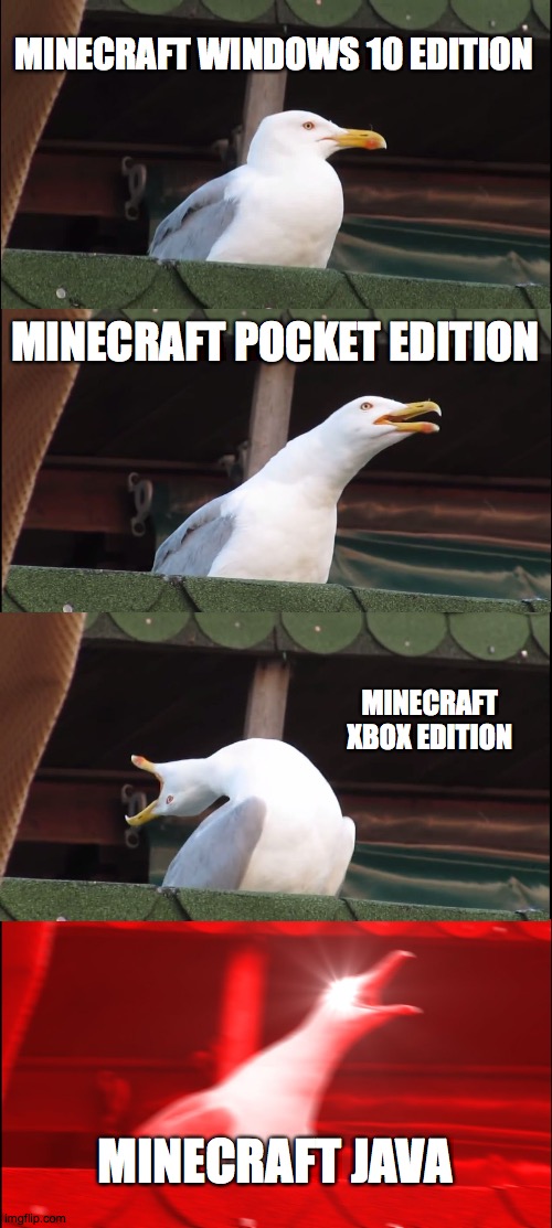 Inhaling Seagull | MINECRAFT WINDOWS 10 EDITION; MINECRAFT POCKET EDITION; MINECRAFT XBOX EDITION; MINECRAFT JAVA | image tagged in memes,inhaling seagull | made w/ Imgflip meme maker