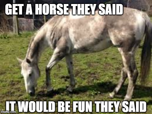 GET A HORSE THEY SAID; IT WOULD BE FUN THEY SAID | image tagged in horse,grey,dirty | made w/ Imgflip meme maker
