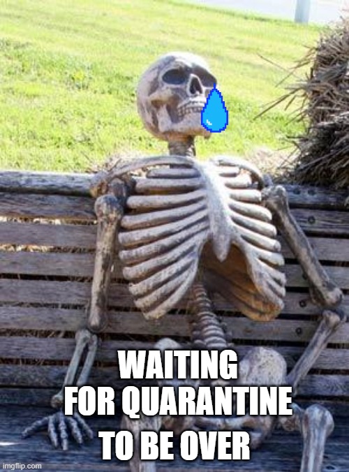 Waiting Skeleton Meme | TO BE OVER; WAITING FOR QUARANTINE | image tagged in memes,waiting skeleton | made w/ Imgflip meme maker