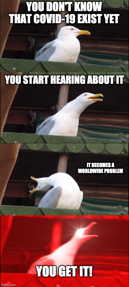 Inhaling Seagull | YOU DON'T KNOW THAT COVID-19 EXIST YET; YOU START HEARING ABOUT IT; IT BECOMES A WORLDWIDE PROBLEM; YOU GET IT! | image tagged in memes,inhaling seagull | made w/ Imgflip meme maker