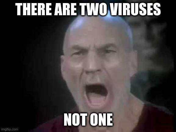 Christmas counter. | THERE ARE TWO VIRUSES; NOT ONE | image tagged in picard four lights | made w/ Imgflip meme maker