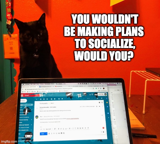 YOU WOULDN'T BE MAKING PLANS 
TO SOCIALIZE, WOULD YOU? | image tagged in social distancing,cats | made w/ Imgflip meme maker