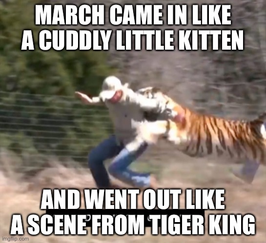 Joe exotic | MARCH CAME IN LIKE A CUDDLY LITTLE KITTEN; AND WENT OUT LIKE A SCENE FROM TIGER KING | image tagged in joe exotic | made w/ Imgflip meme maker