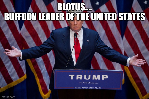 Donald Trump | BLOTUS....
BUFFOON LEADER OF THE UNITED STATES | image tagged in donald trump | made w/ Imgflip meme maker