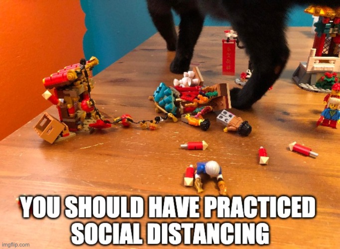 Milo, the mascot of social distancing | image tagged in social distancing,cats | made w/ Imgflip meme maker