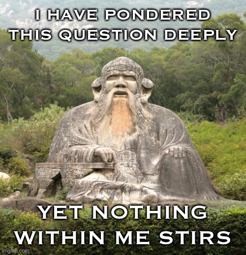 When they stump you. | I HAVE PONDERED THIS QUESTION DEEPLY YET NOTHING WITHIN ME STIRS | image tagged in laozi statue,philosophy,philosopher,question,thinking meme,thinking | made w/ Imgflip meme maker