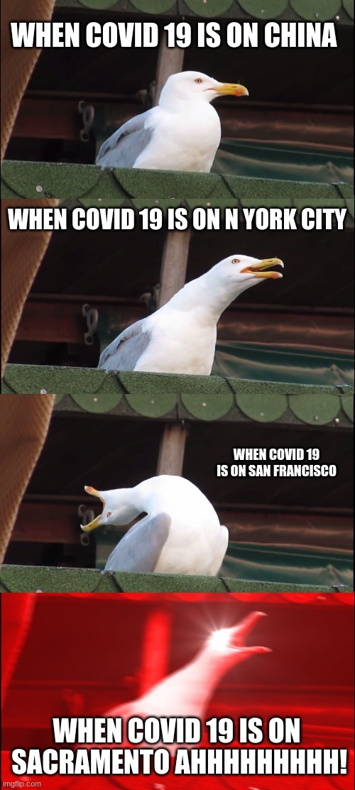Inhaling Seagull | WHEN COVID 19 IS ON CHINA; WHEN COVID 19 IS ON N YORK CITY; WHEN COVID 19 IS ON SAN FRANCISCO; WHEN COVID 19 IS ON  SACRAMENTO AHHHHHHHHH! | image tagged in memes,inhaling seagull | made w/ Imgflip meme maker