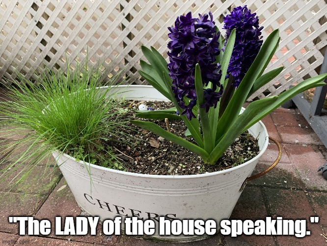 Hyacinth Bucket | "The LADY of the house speaking." | image tagged in hyacinth bucket | made w/ Imgflip meme maker