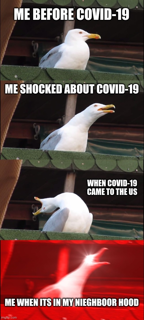 Inhaling Seagull Meme | ME BEFORE COVID-19; ME SHOCKED ABOUT COVID-19; WHEN COVID-19 CAME TO THE US; ME WHEN ITS IN MY NIEGHBOOR HOOD | image tagged in memes,inhaling seagull | made w/ Imgflip meme maker