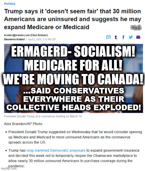 Medicare! Socialism! Aieeeee!!! | NLG; ERMAGERD- SOCIALISM! MEDICARE FOR ALL! WE'RE MOVING TO CANADA! ...SAID CONSERVATIVES EVERYWHERE AS THEIR COLLECTIVE HEADS EXPLODED! | image tagged in politics,political meme,political humor,political | made w/ Imgflip meme maker