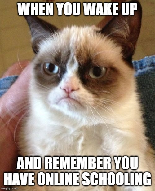 Grumpy Cat Meme | WHEN YOU WAKE UP; AND REMEMBER YOU HAVE ONLINE SCHOOLING | image tagged in memes,grumpy cat | made w/ Imgflip meme maker