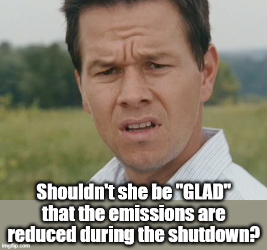 Huh  | Shouldn't she be "GLAD" that the emissions are reduced during the shutdown? | image tagged in huh | made w/ Imgflip meme maker