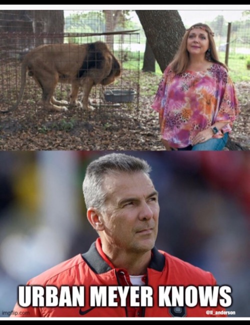 Tiger King | image tagged in sports | made w/ Imgflip meme maker
