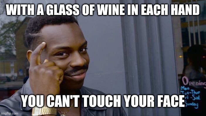 Roll Safe Think About It | WITH A GLASS OF WINE IN EACH HAND; YOU CAN'T TOUCH YOUR FACE | image tagged in memes,roll safe think about it | made w/ Imgflip meme maker