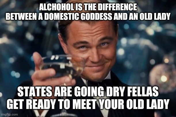 Leonardo Dicaprio Cheers Meme | ALCHOHOL IS THE DIFFERENCE BETWEEN A DOMESTIC GODDESS AND AN OLD LADY; STATES ARE GOING DRY FELLAS GET READY TO MEET YOUR OLD LADY | image tagged in memes,leonardo dicaprio cheers | made w/ Imgflip meme maker