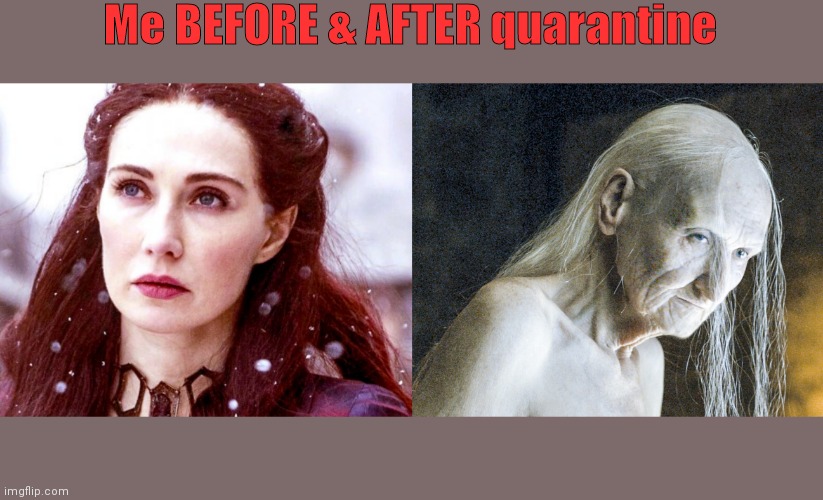 Me BEFORE & AFTER quarantine | image tagged in covid-19 | made w/ Imgflip meme maker