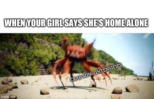 *Crab song intensifies* | WHEN YOUR GIRL SAYS SHE'S HOME ALONE; CRAB SONG INTENSIFIES | image tagged in crab rave,crab,girl,bae,memes,funny | made w/ Imgflip meme maker