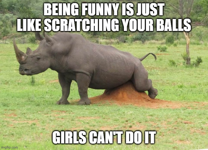 No Can Do | BEING FUNNY IS JUST LIKE SCRATCHING YOUR BALLS; GIRLS CAN'T DO IT | image tagged in rhino scratching balls | made w/ Imgflip meme maker