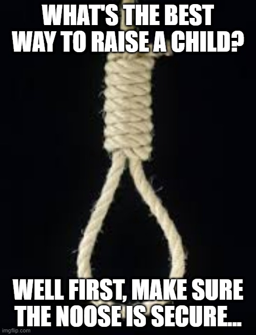 That'll Raise Em All Right | WHAT'S THE BEST WAY TO RAISE A CHILD? WELL FIRST, MAKE SURE THE NOOSE IS SECURE... | image tagged in noose | made w/ Imgflip meme maker