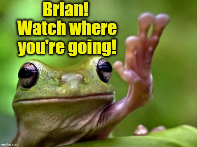 screw you | Brian!  Watch where you're going! | image tagged in screw you | made w/ Imgflip meme maker