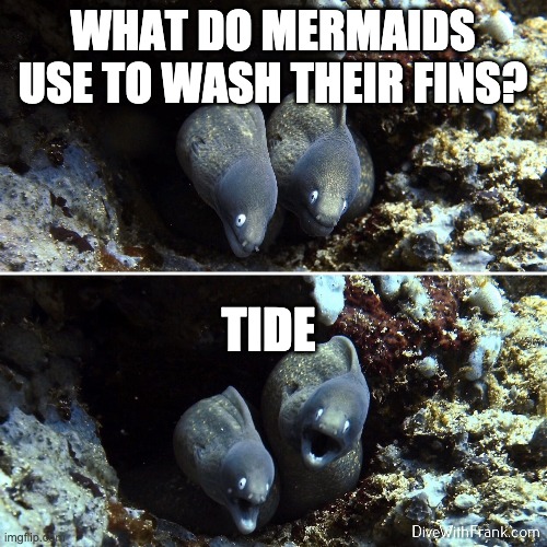 Mermaid Joke | WHAT DO MERMAIDS USE TO WASH THEIR FINS? TIDE | image tagged in aquatic scuba underwater | made w/ Imgflip meme maker